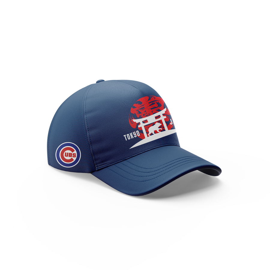 Chicago Cubs 2025 Tokyo Hoodie