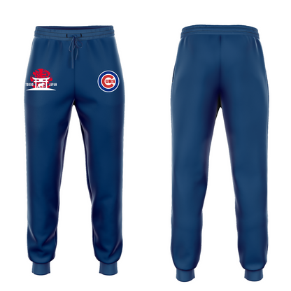 2025 New Chicago Cubs Tokyo Series Jersey
